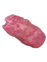 Censan Yaratık Şeklinde Vajina Mastürbatörü Model no: G6128 - Görsel 3