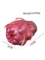 Censan Yaratık Şeklinde Vajina Mastürbatörü Model no: G6132 - Görsel 2