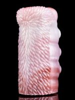 Censan Yaratık Şeklinde Vajina Mastürbatörü Model no: YC-2306 - Görsel 4